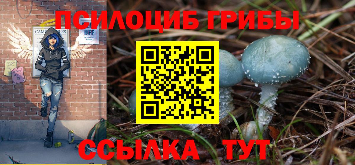 Елец  Псилоцибиновые грибы Psilocybine cubensis  Вход с VPN 